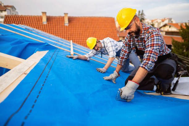 Best Roof Waterproofing Services  in Meadowbrook, AL